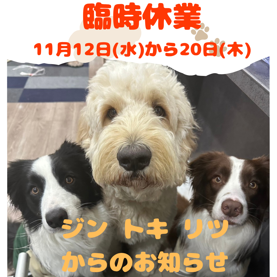 臨時休業のお知らせ